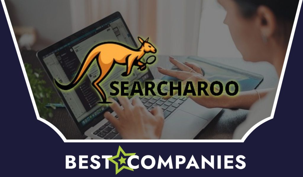 Searcharoo Review
