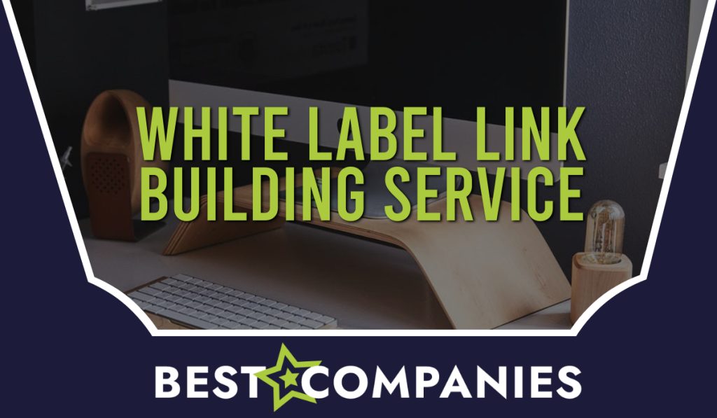 White Label Link Building Service